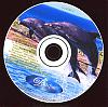 Нажмите на изображение для увеличения Название: cd.jpg Просмотров: 1596 Размер: 53.0 Кб ID: 26